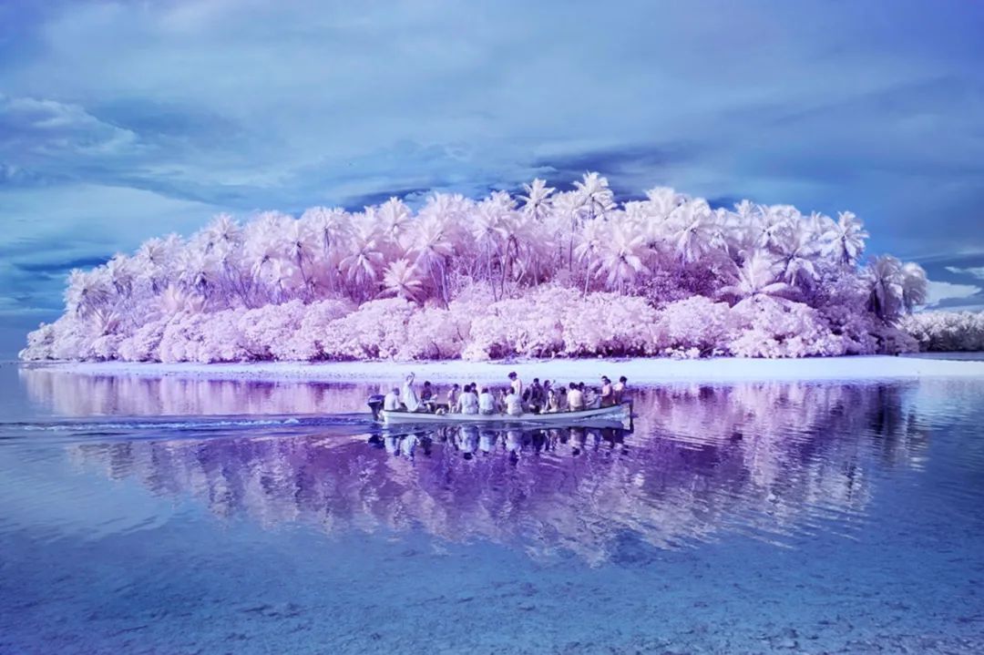 令人难以置信的20个事实,最难以置信的15个事实