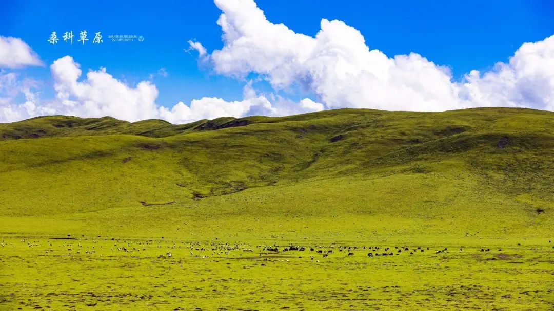 出发西北游,去西北旅行吧