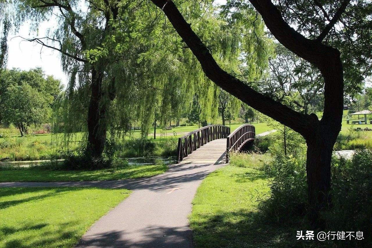 经典咏柳宋词,关于咏柳著名诗句及其赏析