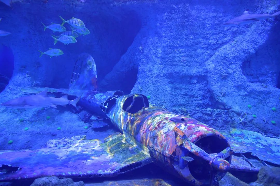 V世界｜夏天，在阿布扎比的11个“极致”体验