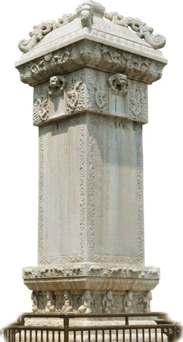 总有一种美会惊艳到时光,有一种玫瑰永不凋零