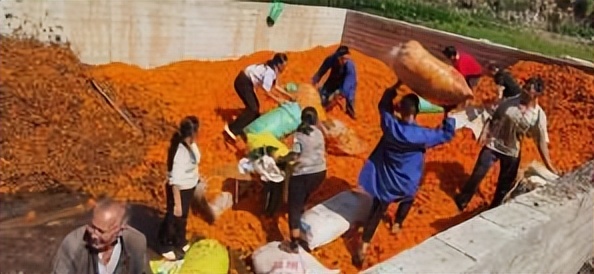 辛巴开国货计划新时代，即墨龙山：非遗公益课堂成暑期学习