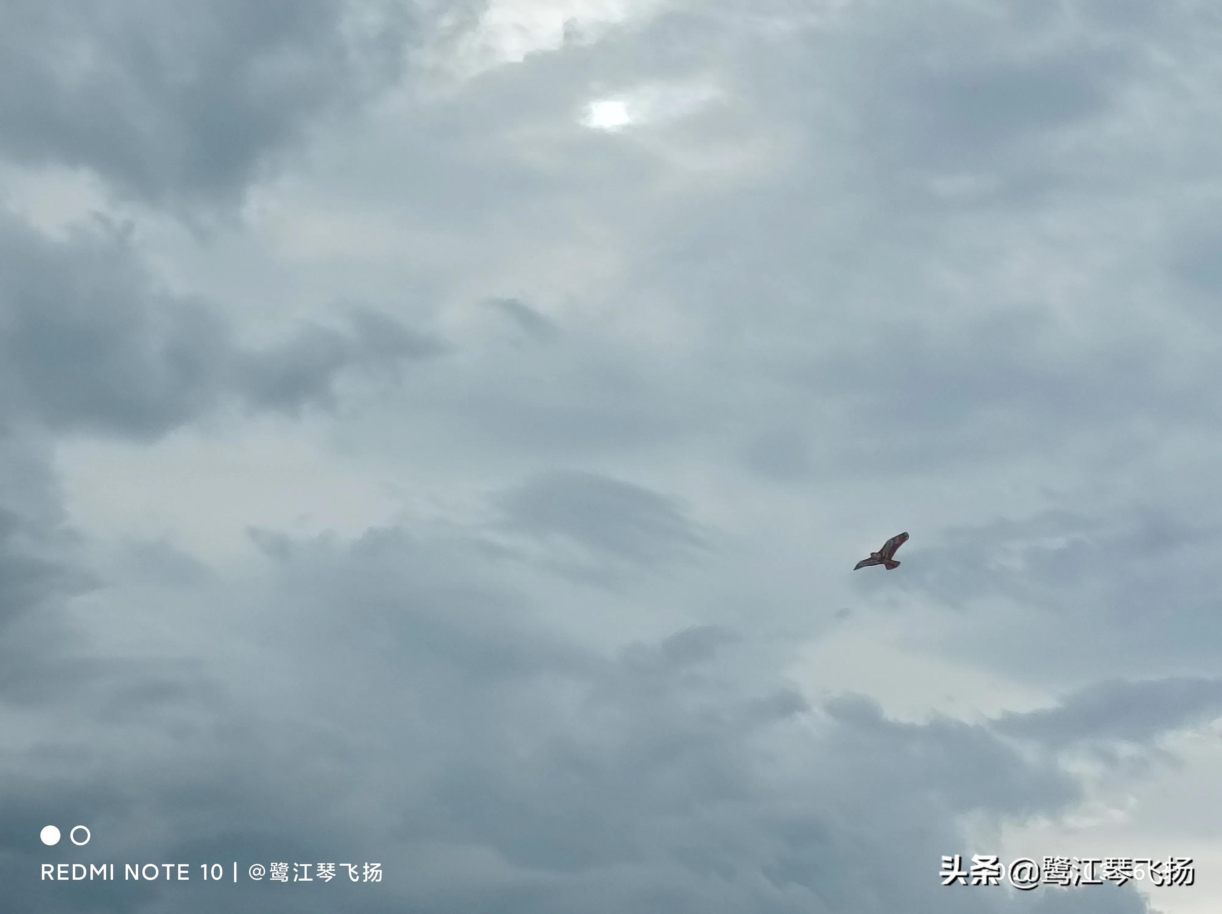 厦门六月的海,厦门的六月