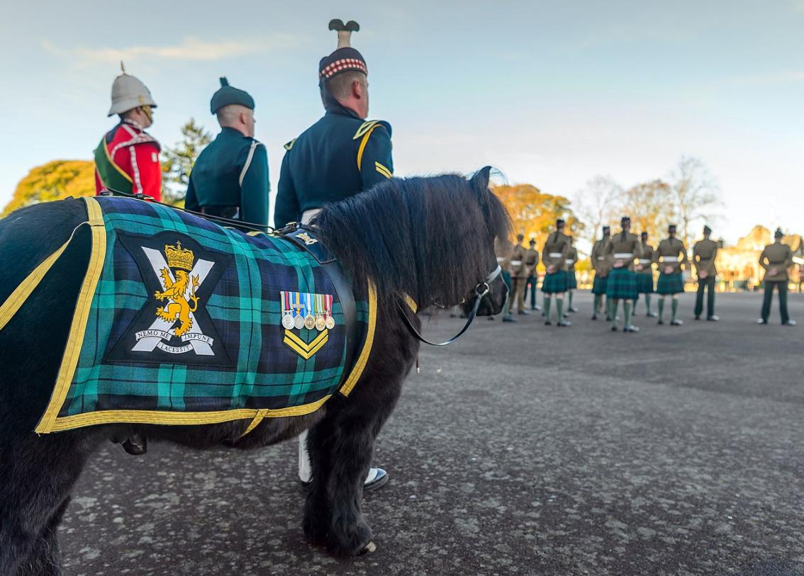 英国加冕王冠有哪些,苏格兰王冠与英格兰王冠