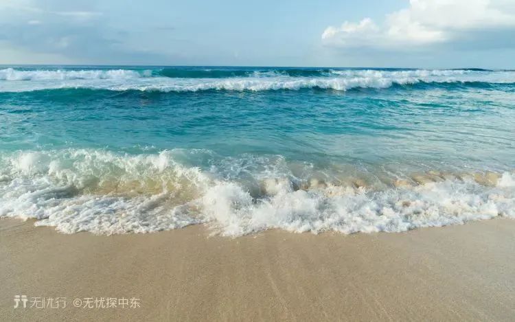 世界杯绝密手稿,世界杯精彩锦囊