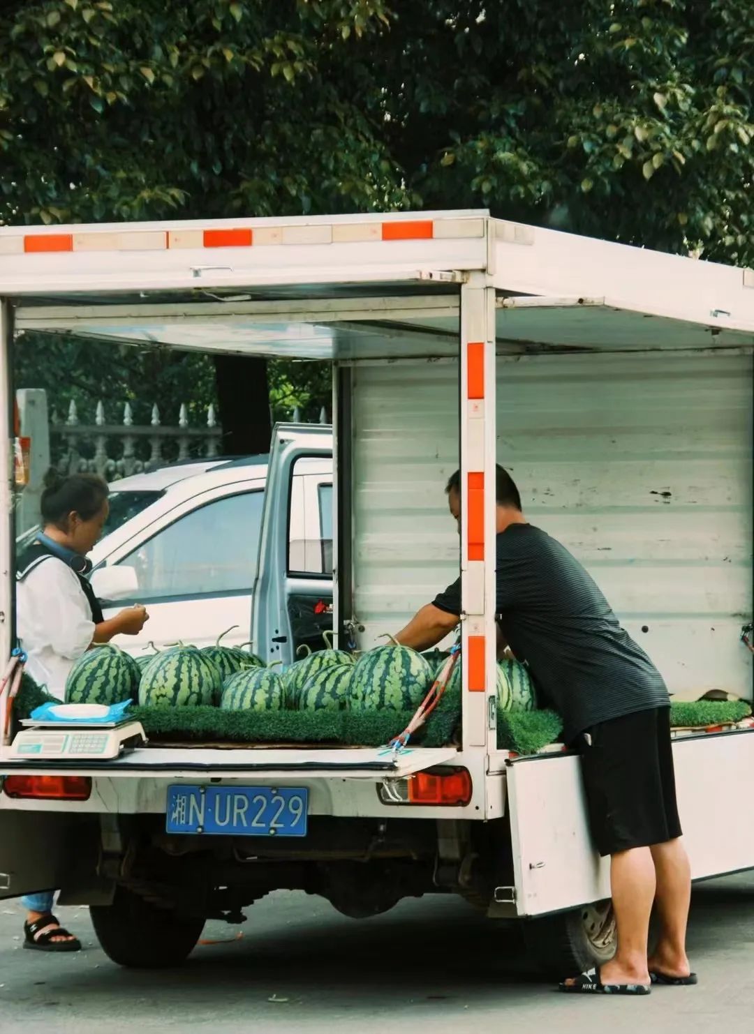 听听审计人的“盛夏果实”