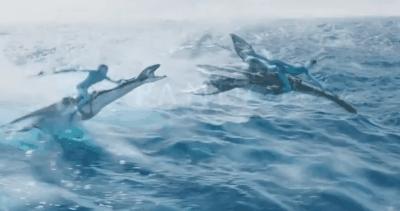 阿凡达2裸眼3d会成为现实吗,阿凡达2不如预期