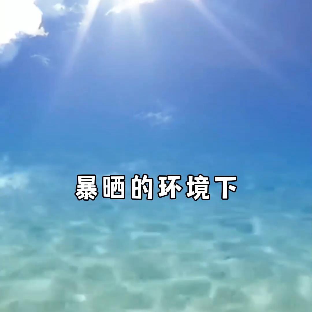 平价户外身体防晒测评,5款热门防晒测评亲身体验大公开