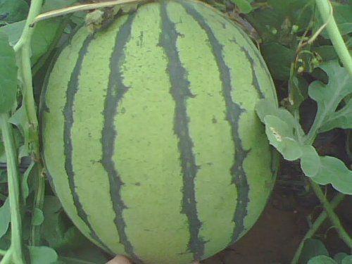 北京有什么好吃的特产,北京特产有哪些好吃能带走的