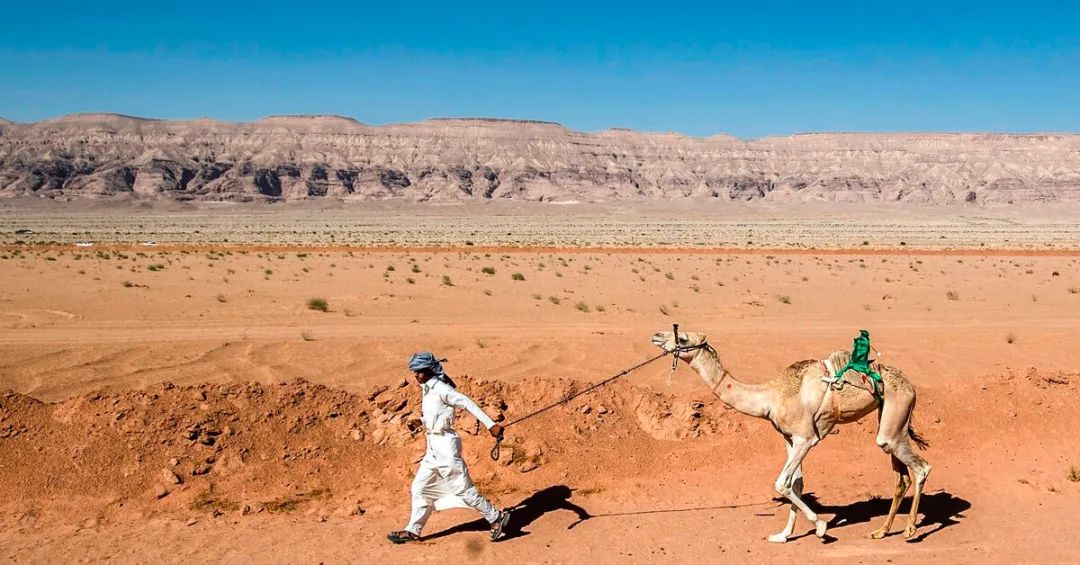 世界杯冷知识大全集,世界杯举办国卡塔尔的冷知识