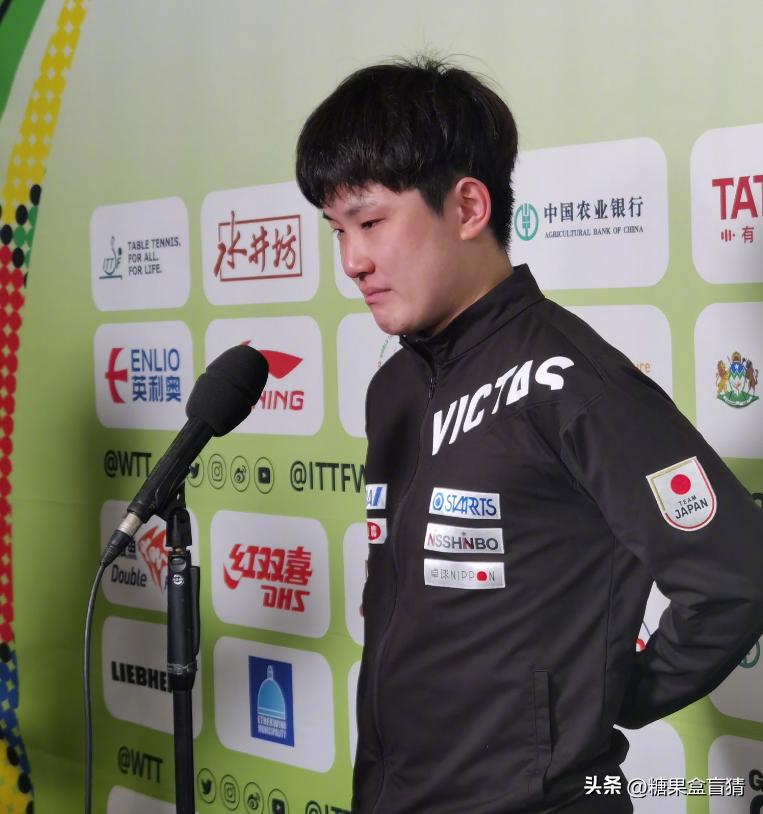 张本智和痛哭韩国男单,张本智和爆冷出局世乒赛