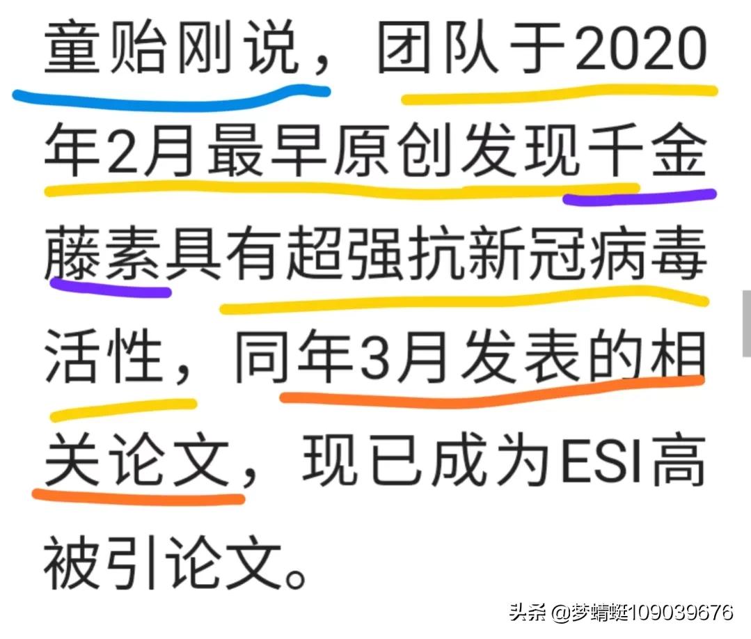 千金藤素：谁能主先锋？