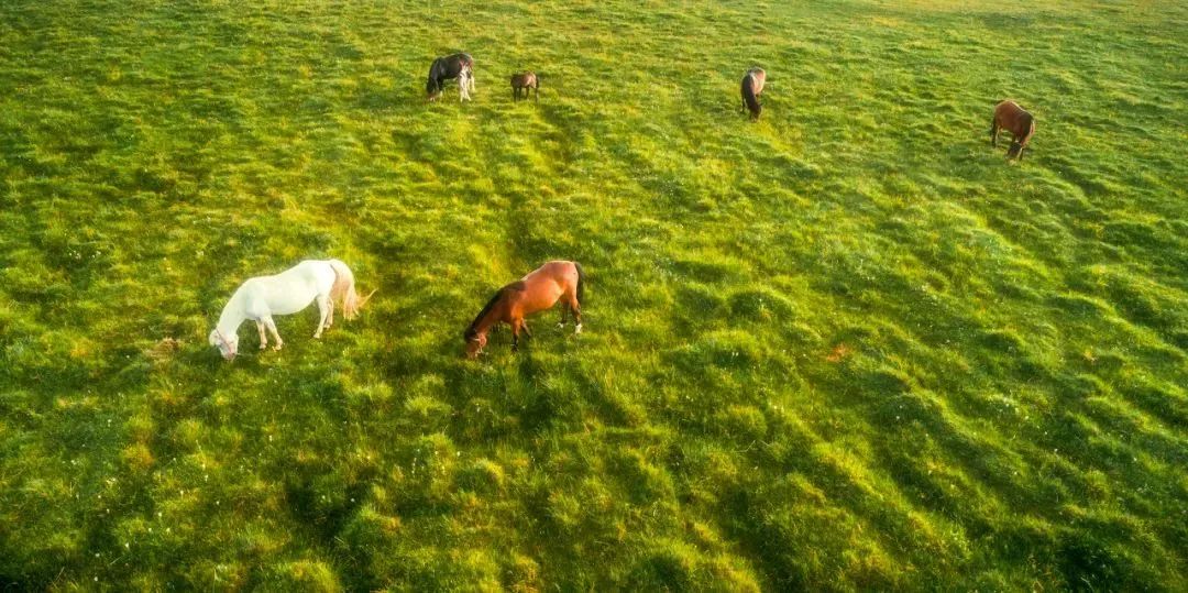 青海：美成了最不像地球的地方