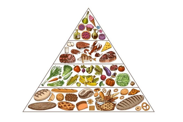 不听话的宠物狗受虐待,强迫狗狗吃狗粮可以吗