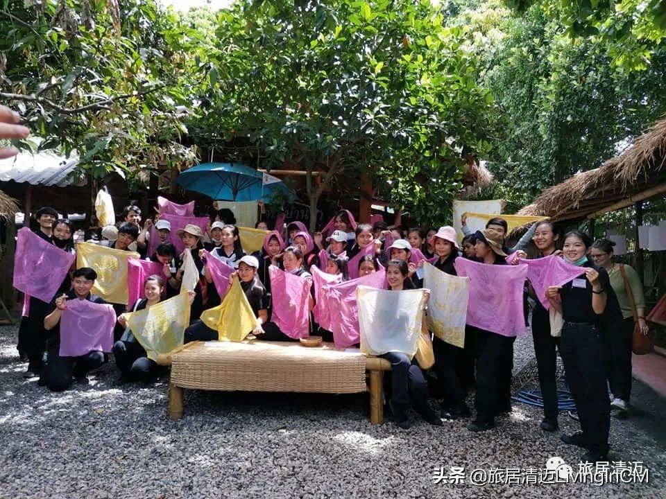 泰国清迈农场美食,清迈美食攻略必吃水果