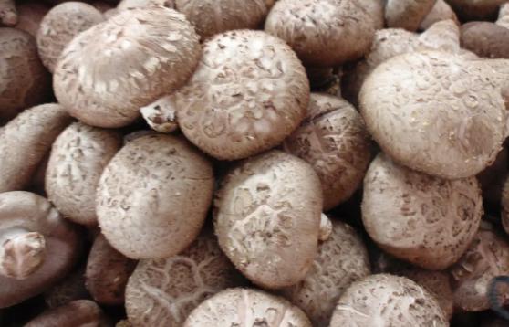 香菇有哪些烘干方式,香菇烘干的过程是什么