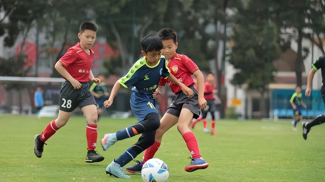 南山区校园足球联赛,2024南山区校园足球比赛