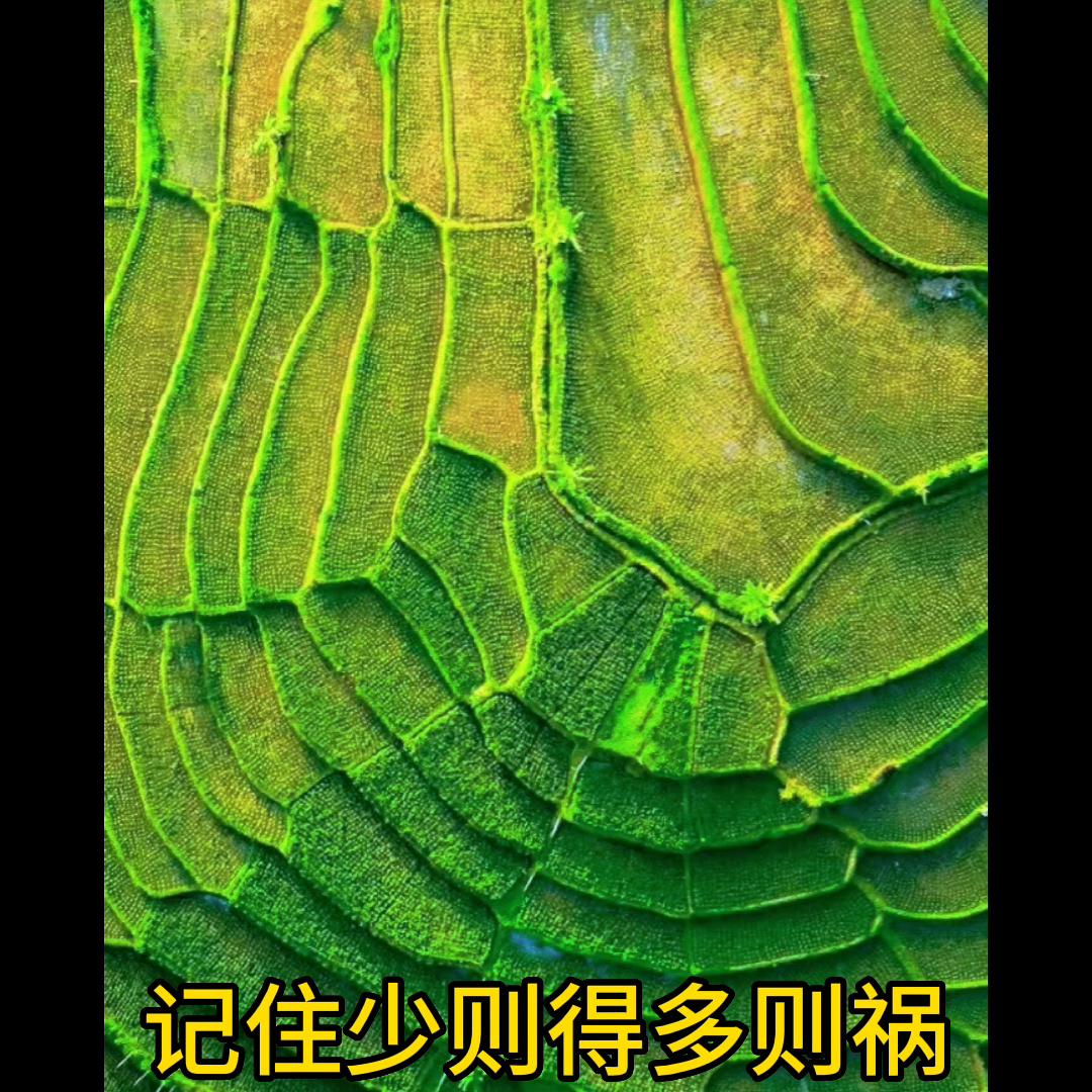 赚钱思维模式,赚钱思维100个方法