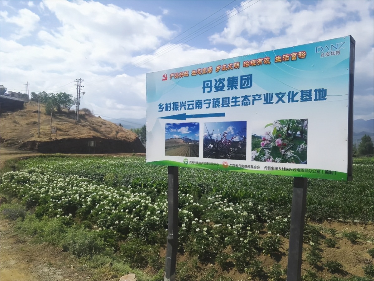 化妆品品牌如何助力乡村振兴？丹姿探索行业公益新模式