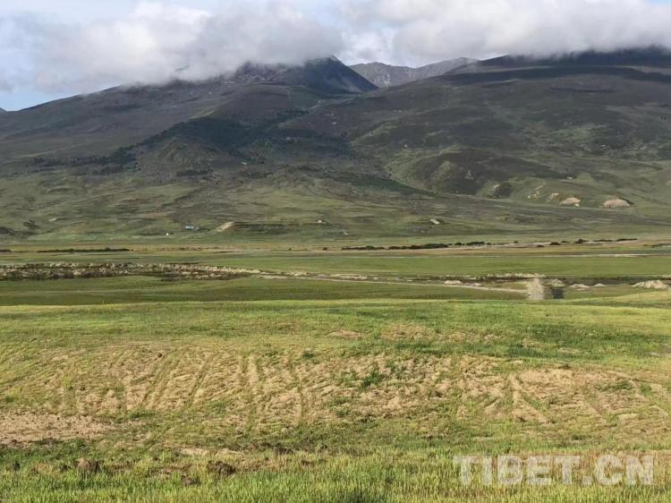 四川理塘海子山规划,理塘县生态农业发展中心