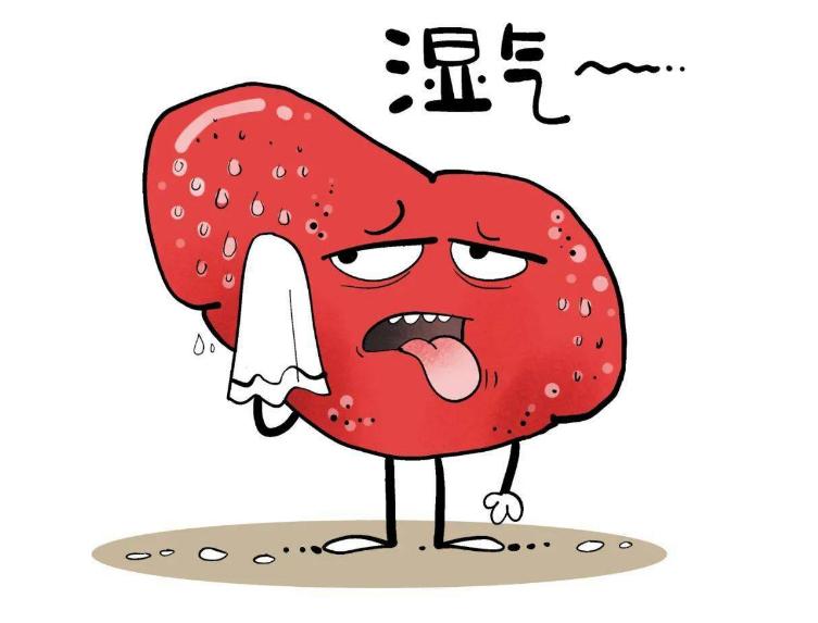 有没有特别好祛除体内湿气的药方,还有什么办法祛湿气