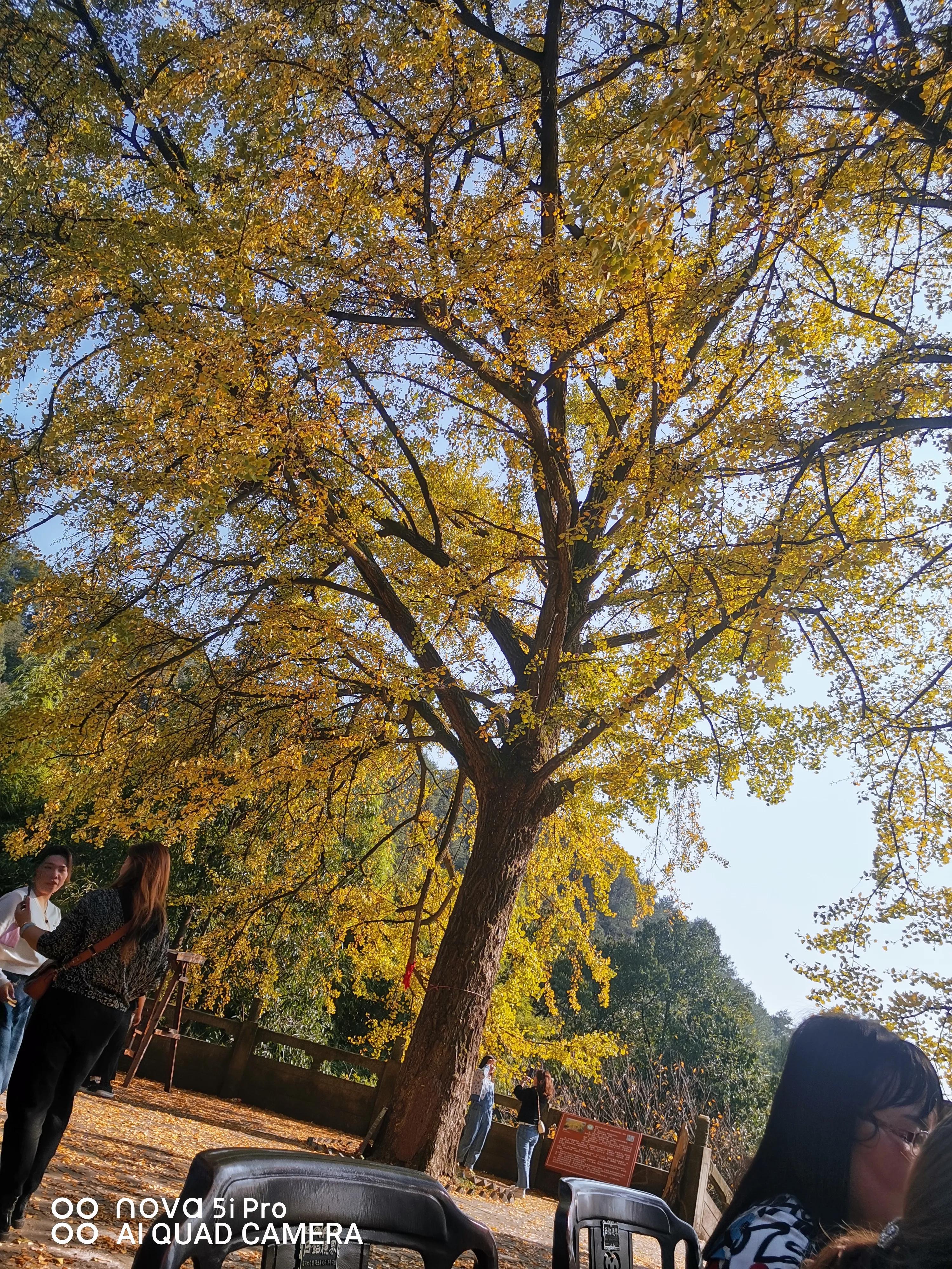 中国被称为礼仪之邦都有什么礼仪,中国被称为礼仪之邦为什么