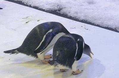 *级A**景区走透透|坐上“闽南时光机”，漫步老院子→