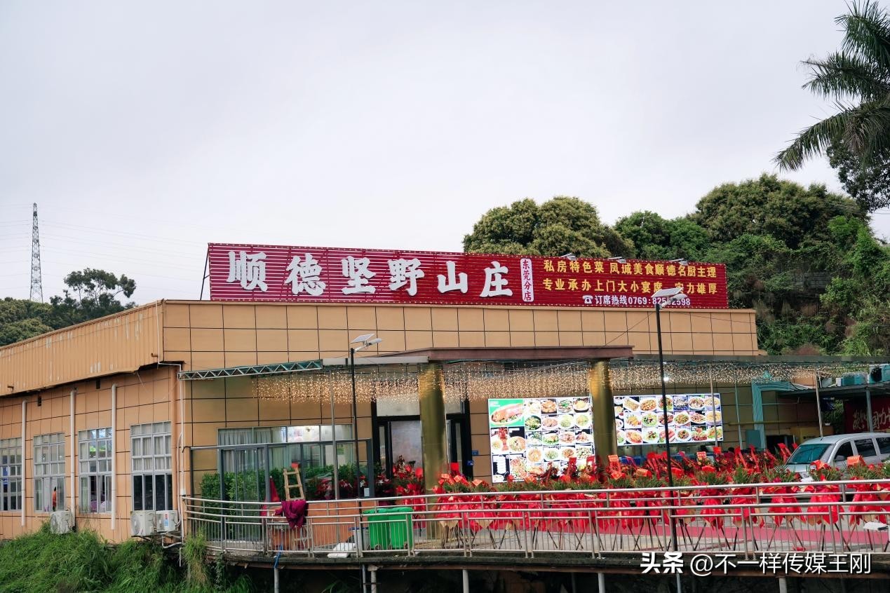 在东莞享顺德美食，记顺德坚野山庄第二分店正式开业