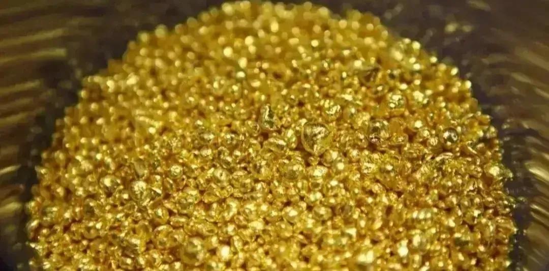 吸血鬼真正的进食方式,海底的吸血鬼进食