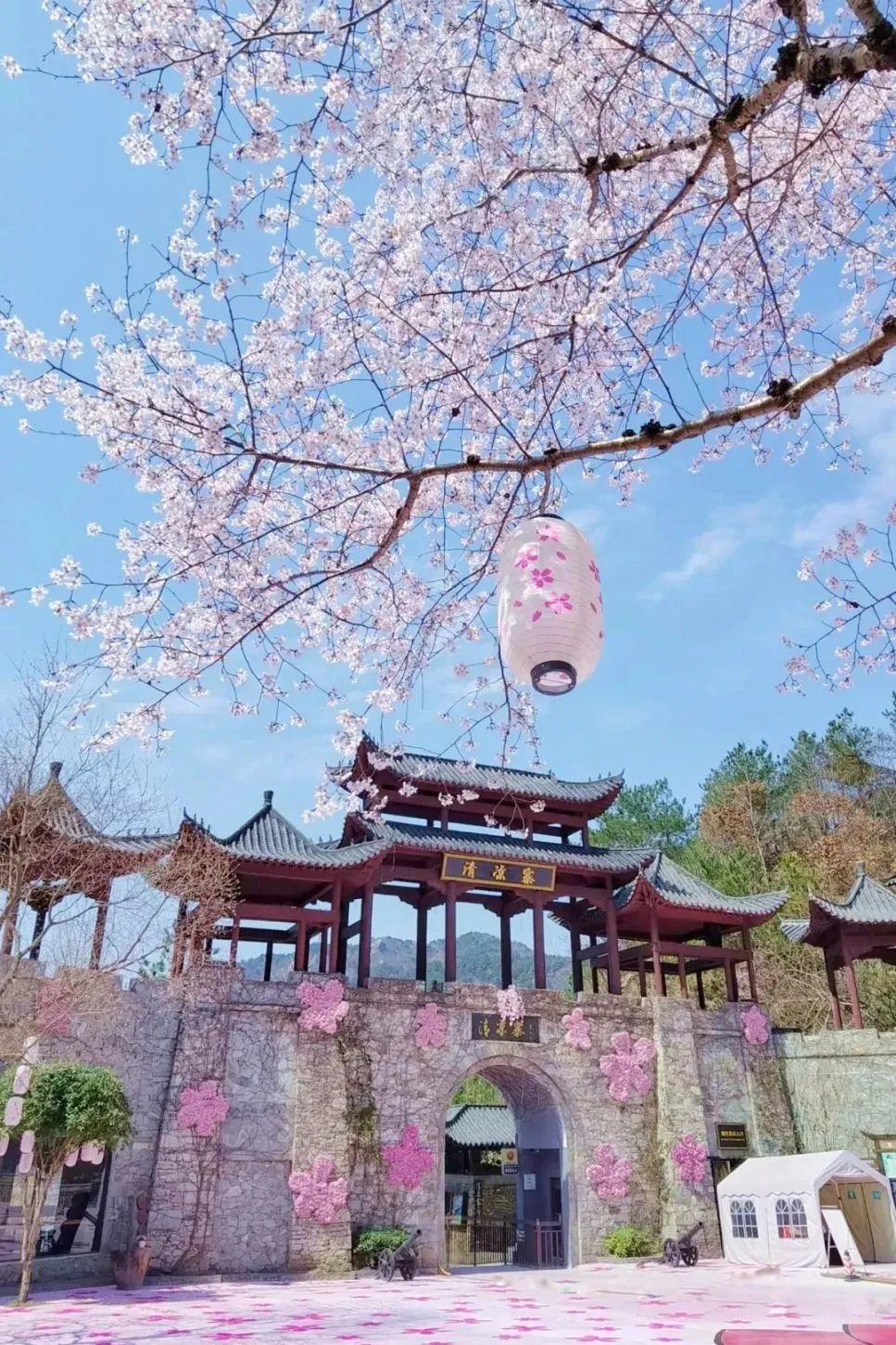 免票最新信息,半价免票规则