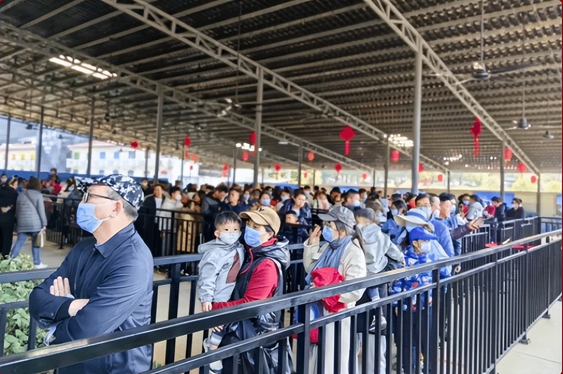 火出圈！陕旅春节假期圆满收官，精彩持续升温