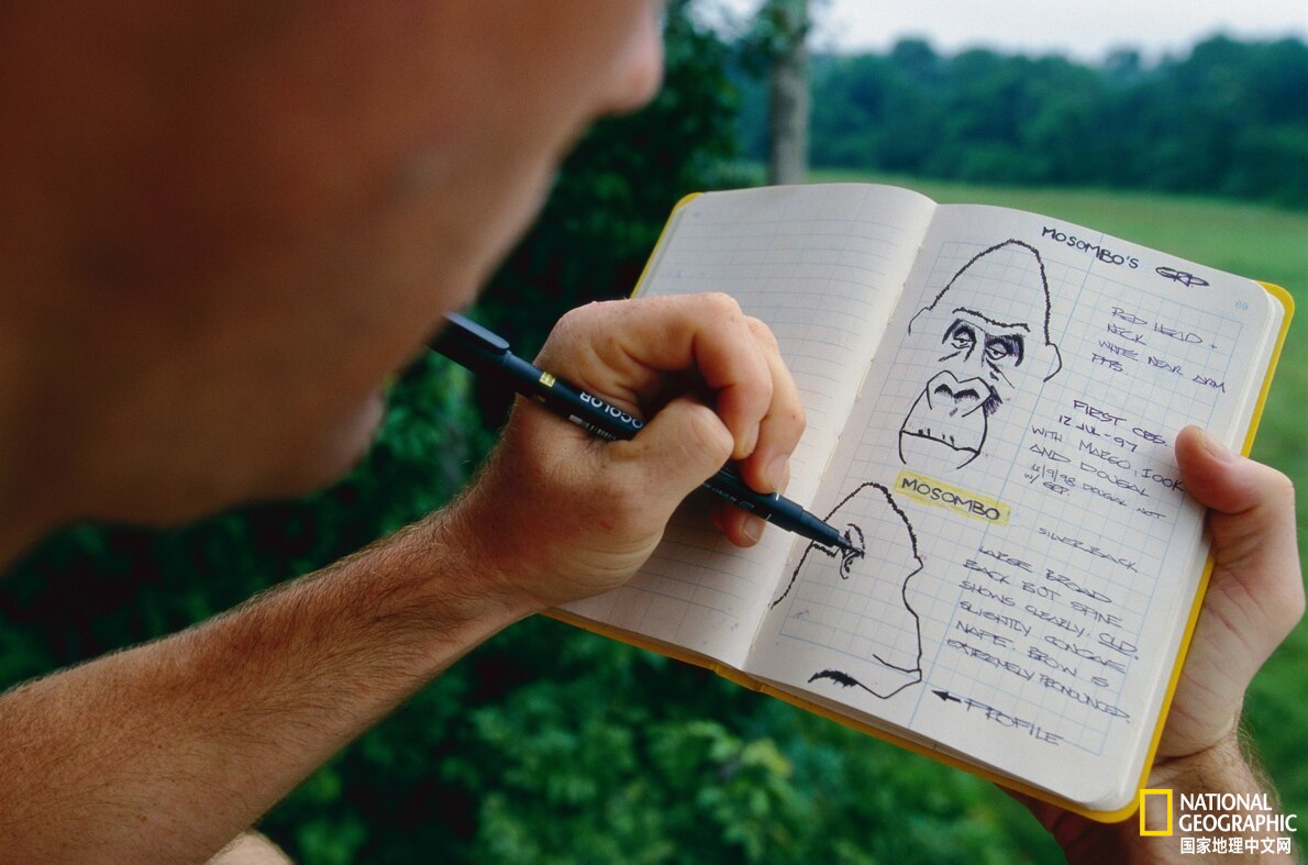 去旅游的时候怎么记录下来,旅行中怎样记录每一次的经历