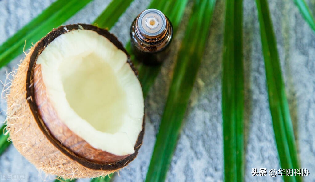 食用油到底选哪种最好,食用油的品种排行榜