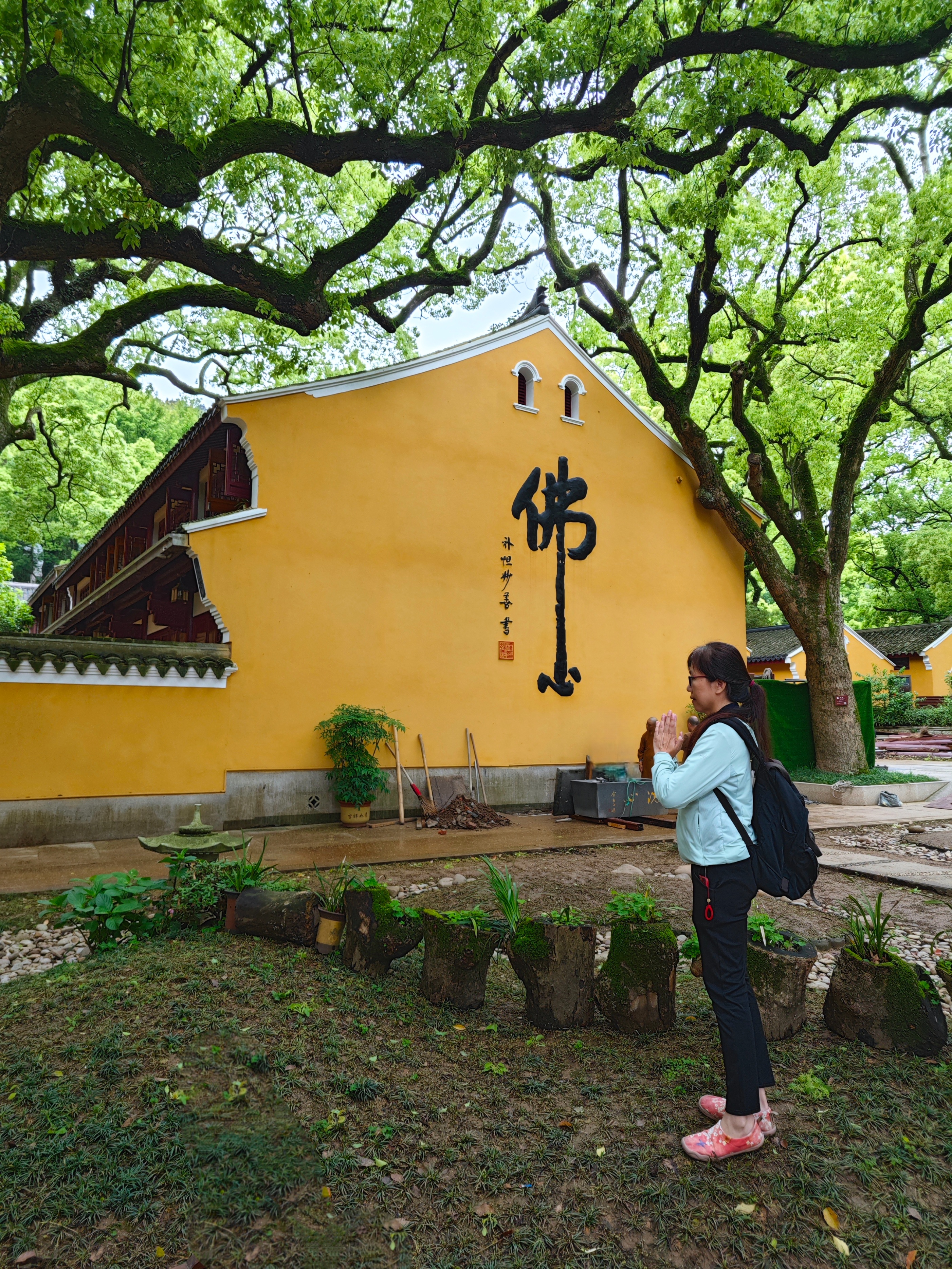 普陀山二日祈福游,普陀山朝拜二日行