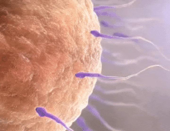 一个人来到世上的几率有多大,一个人来到世上真实的概率