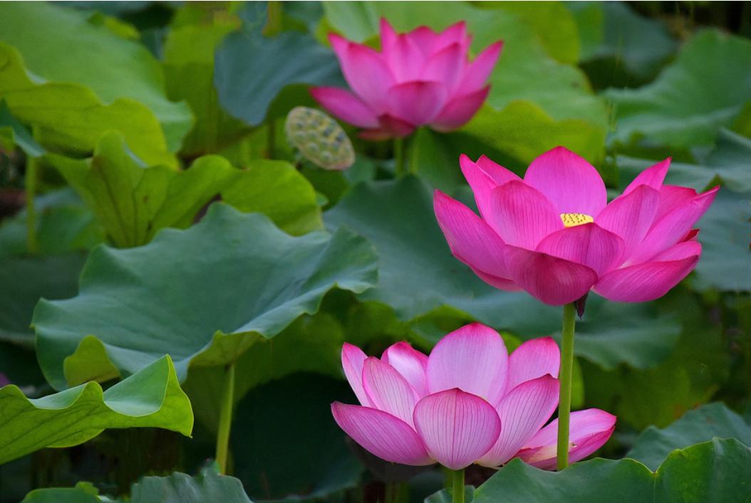 人只有躺在病床上才知道爱情最美,老了才知道这辈子最亲的人是谁