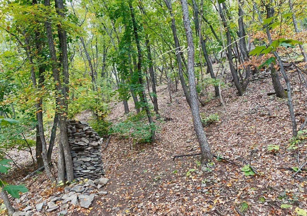 延吉的免费小众景点,游览延吉视频