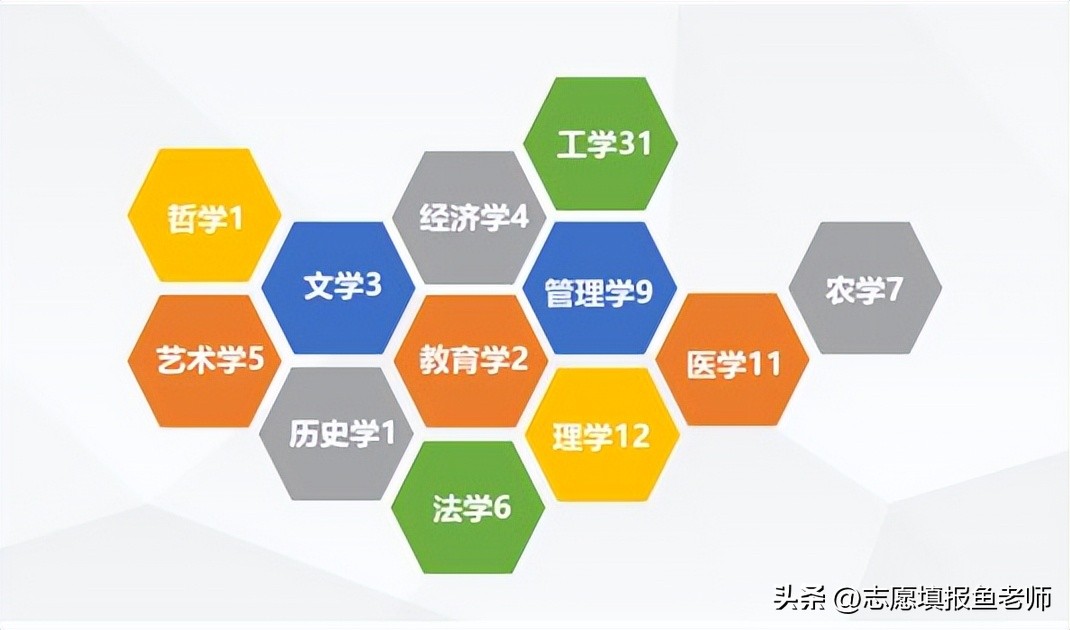 文科填报志愿最好的方法,文科生报志愿选专业技巧