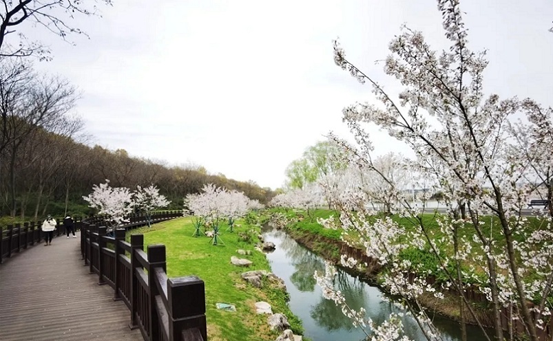 南京免费景点排行榜前十名,南京旅游年卡免费景点一览表