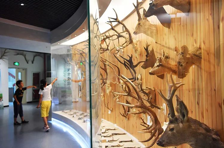 北京必打卡亲子博物馆,北京必打卡的历史建筑