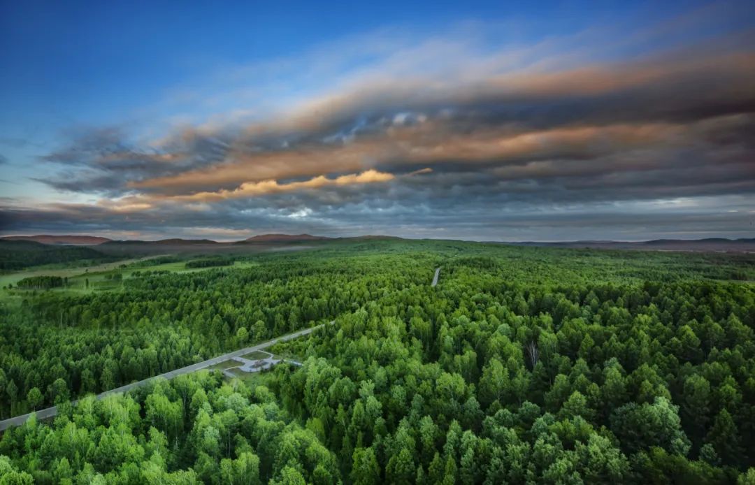 湿地可以开发什么旅游项目,黑龙江旅游必去十大湿地排名