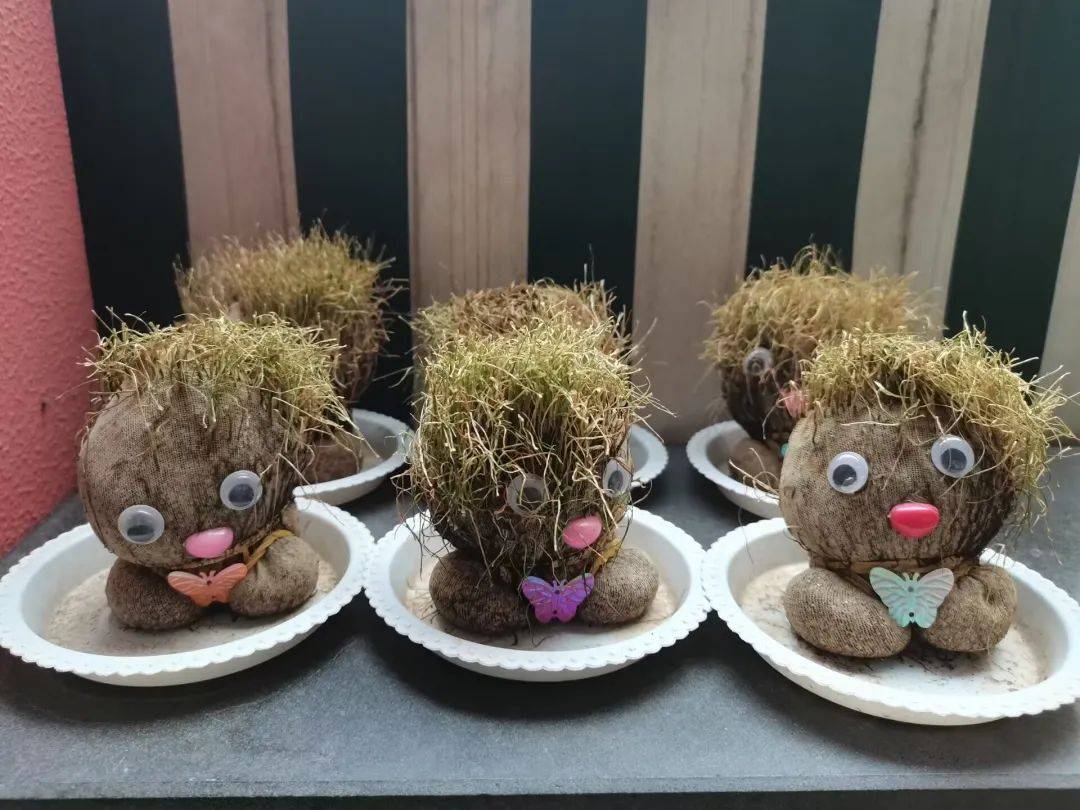 桐乡市庆安乐儿堡幼儿园,浙江省桐乡市庆安乐儿堡幼儿园