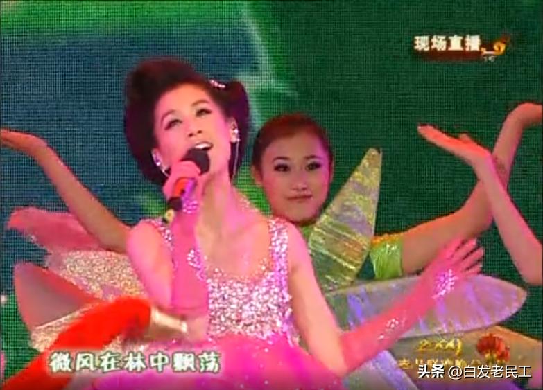 2011我最喜爱的春晚节目评选,历年春晚你最喜欢哪个节目