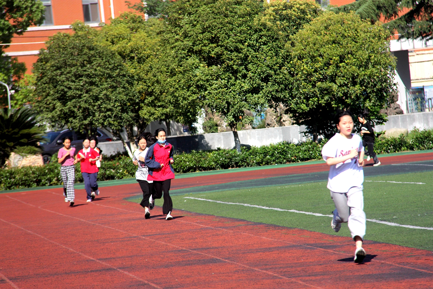 学校春季运动会活动,学校春季运动会活动报道