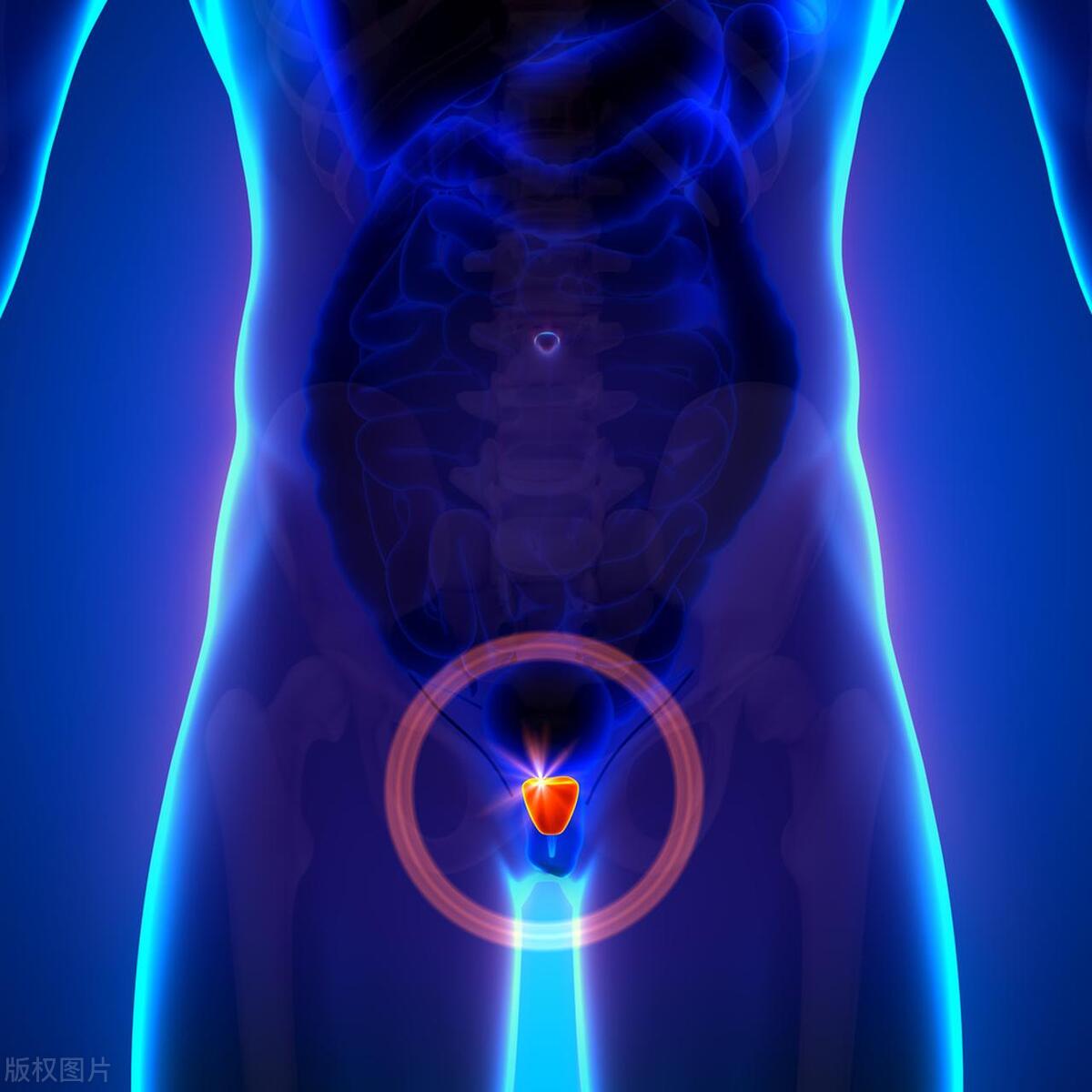 前列腺炎男的会传染给女性吗,男性前列腺炎传染夫妻吗