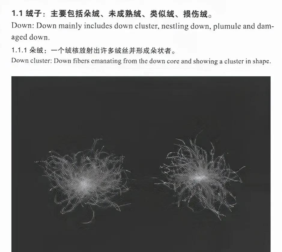 羽绒服的行业内幕,羽绒服市场存在哪些问题