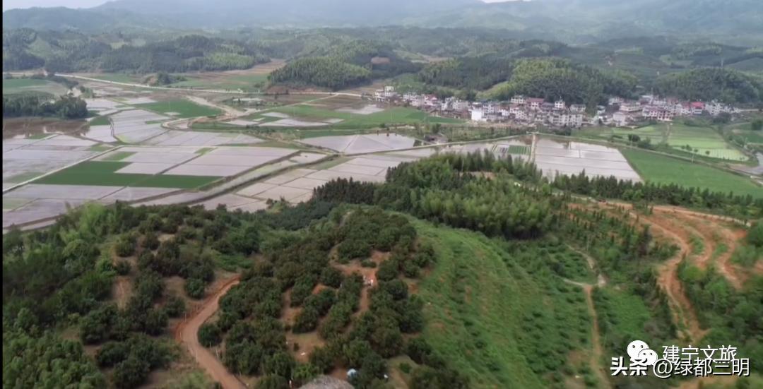 缤纷水果季即将开始！来建宁释放夏日多巴胺