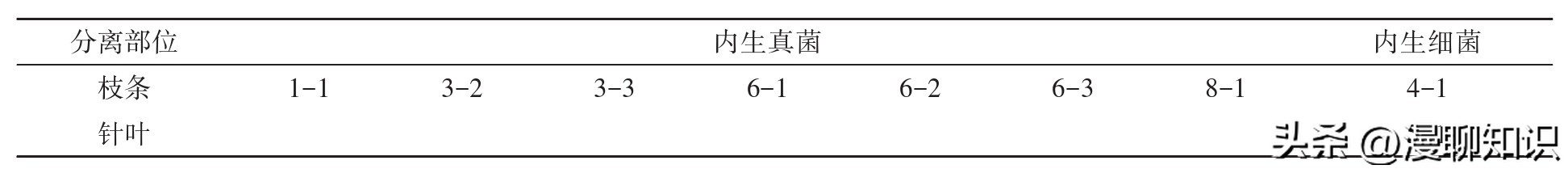 红豆杉中控制紫杉醇形成的结构,紫杉醇有几种有啥区别