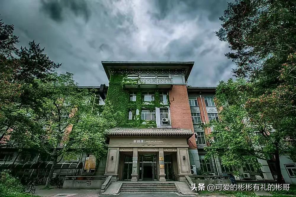 北京大学医学部临床8年与临床5年,北京大学临床医学八年制