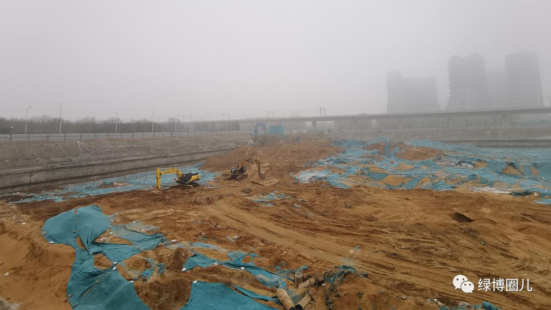 绿博真实现状,5年后绿博